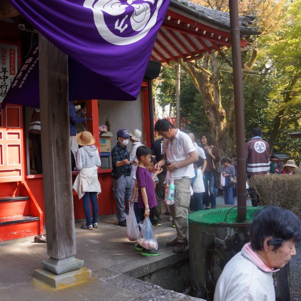 春季大祭（４月）